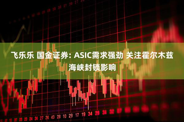 飞乐乐 国金证券: ASIC需求强劲 关注霍尔木兹海峡封锁影响